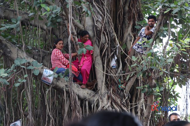 चितवनमा आदेशको प्रतिक्षाः रवि अदालतभित्र, समर्थकहरु रुखका हाँगामा (फोटोफिचर)