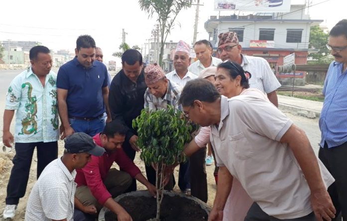 प्रदेश नं २ लाई  हरित प्रदेश अभियान शुरु