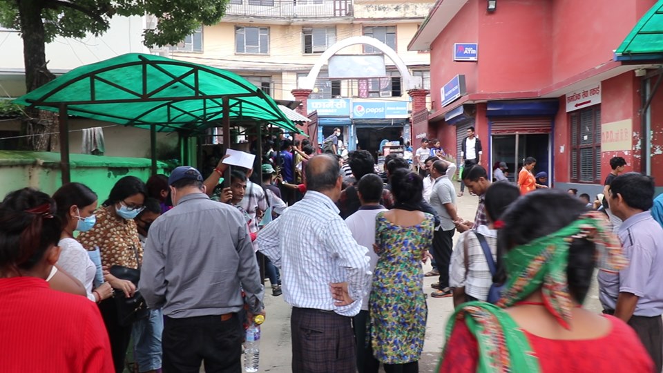 देशभर डेँगुको त्रास बढ्दो, शुक्रराज अस्पतालमा मात्रै १३५० डेङ्गु रोगी फेला