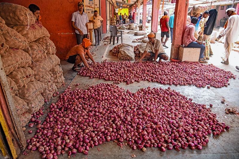 ऋणमा डुबेर आत्तिएका गरिबलाई प्याजले एक झट्कामा करोडपति बनाइदिएपछि….