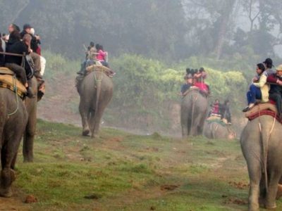 चितवन राष्ट्रिय निकुञ्जको सफारी सञ्चालनको तयारीमा