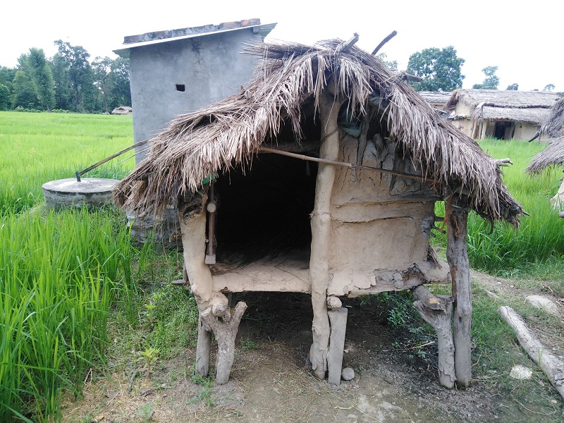 छाउपडि उन्मुलन अभियान अन्तर्गत १३ सय छाउगोठ भत्काइयो, सबै भन्दा बढी अछाममा