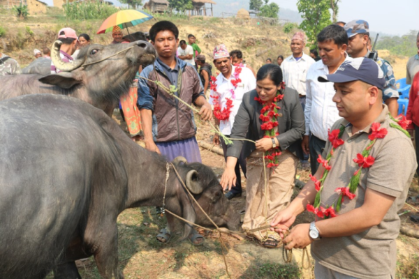 गरिबीसँग लड्दै स्थानीय सरकार