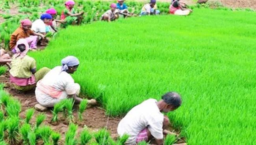 अब कृषकलाई परिचयपत्र