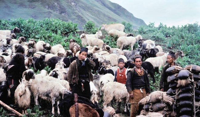 विपन्नलाई दिएको राहतमा मनपरीः कागजमा ३० किलो, दिइयो ७ किलो मात्रै