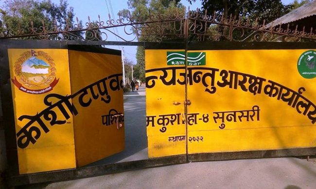 कोशीटप्पुमा ३४ प्रतिशतले पर्यटक आगमनमा कमी