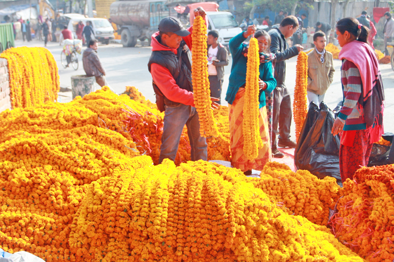 तिहारमा भारतबाट फूल नल्याइने