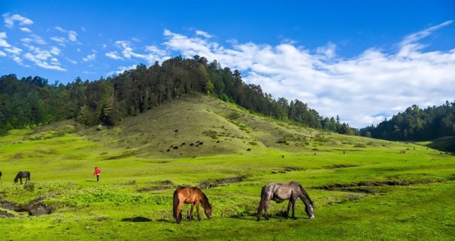 सुदूरपश्चिम पर्यटन विकासका लागि पोखराले सहयोग गर्ने