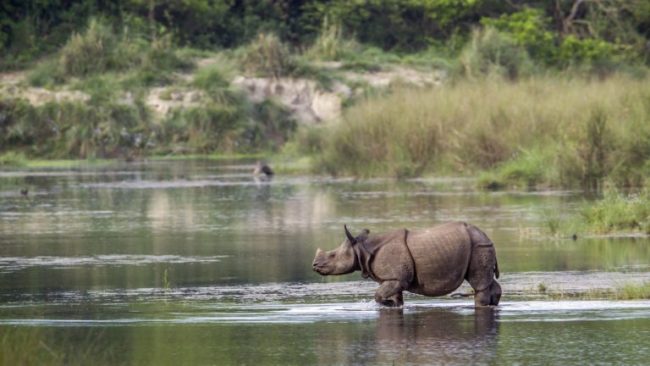 महामारी झेलेर उठ्न लागेको चितवनको पर्यटनमा अर्को धक्का