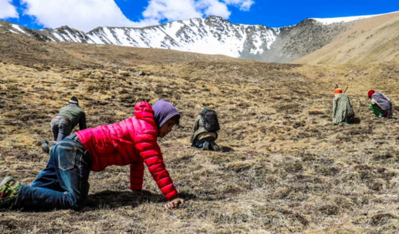 यार्सा संकलन क्षेत्र फोहोर व्यवस्थापन अभियान