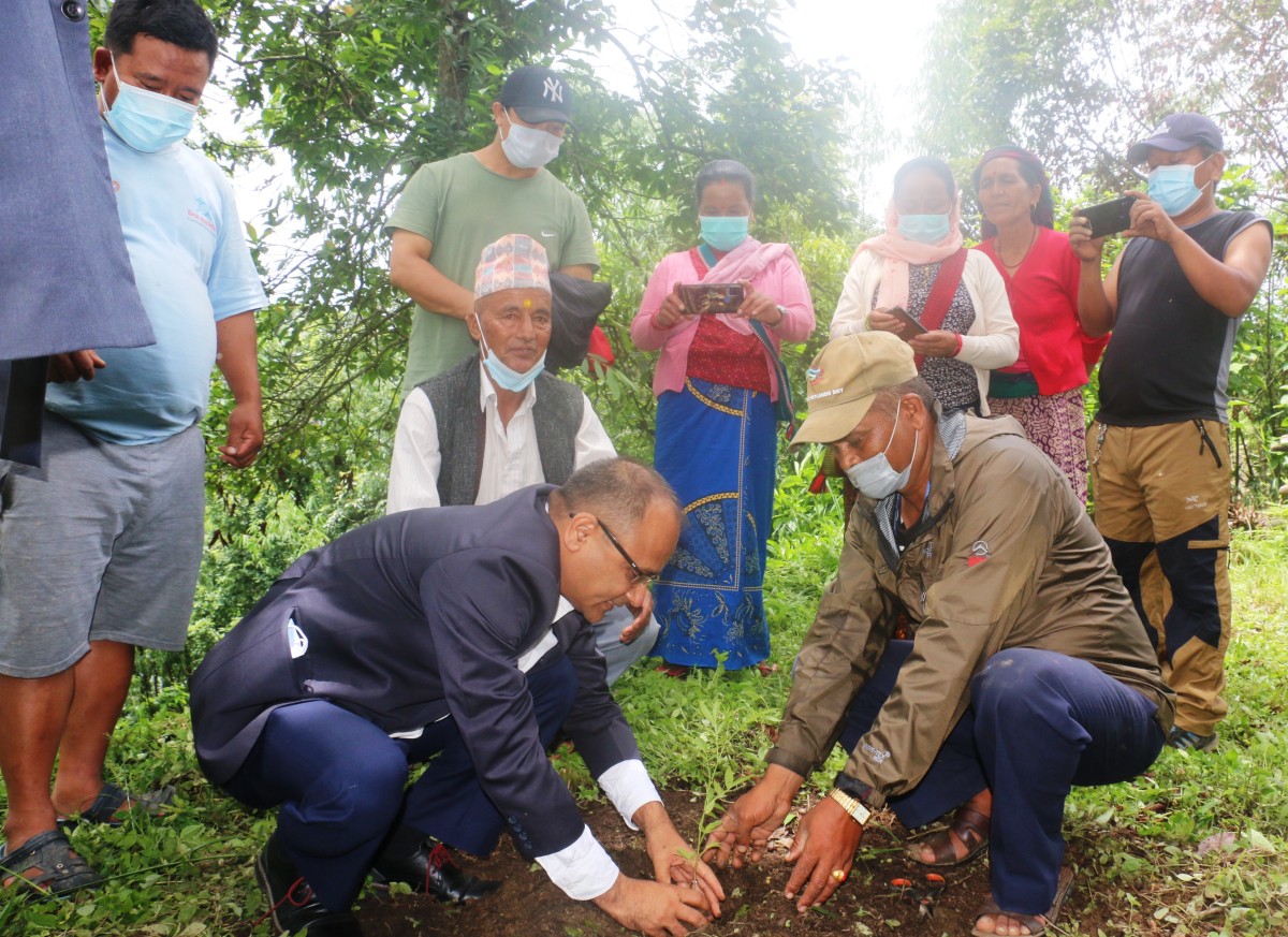 वृक्षरोपण दिवसका अवसरमा देशभर बिरुवा रोपण