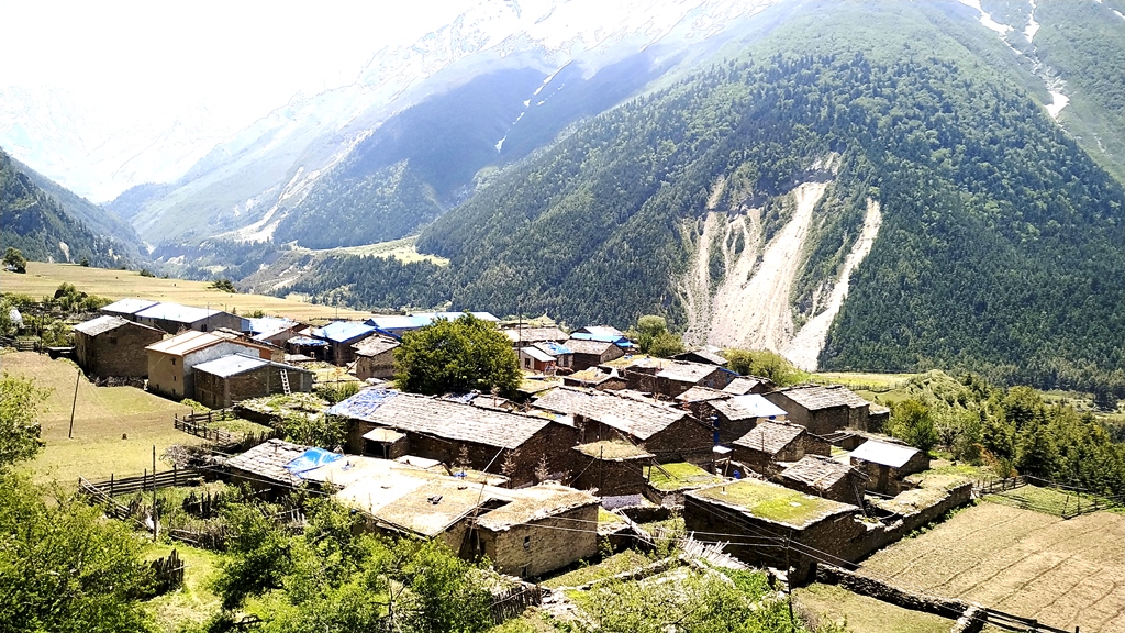 सीमा सुरक्षार्थ तिङ्करमा खटियो प्रहरी