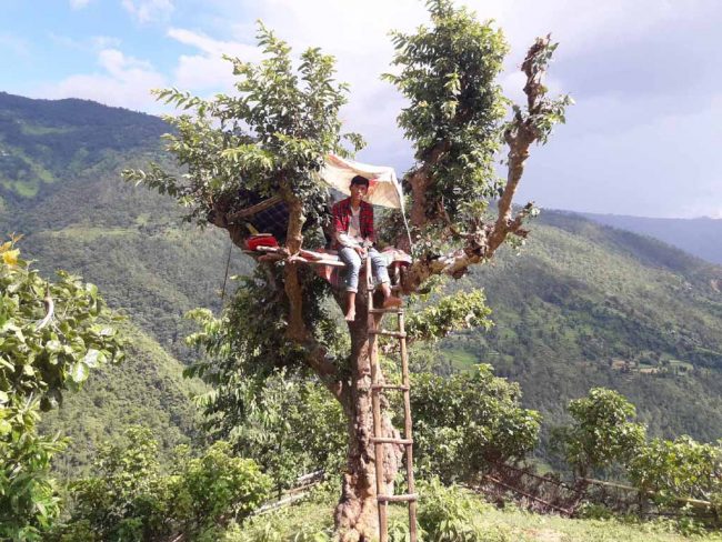 धनकुमारले खोलिदिए टेलिकमको आँखा