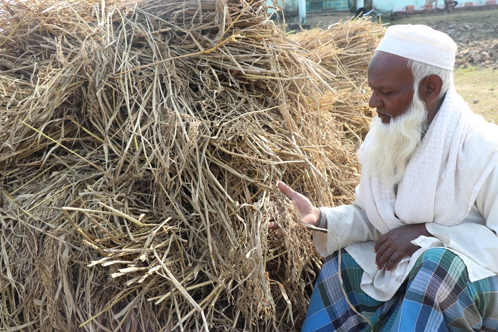 वर्षाले धान नष्ट गर्‍यो, अब परिवार कसरी पाल्ने ?