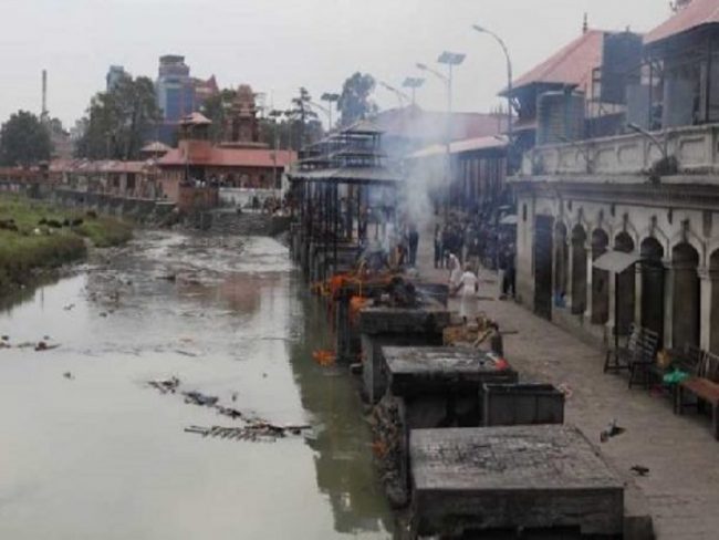 पशुपति आर्यघाटबाट बाँस र लुगाफाटो व्यवस्थापन गर्न माग