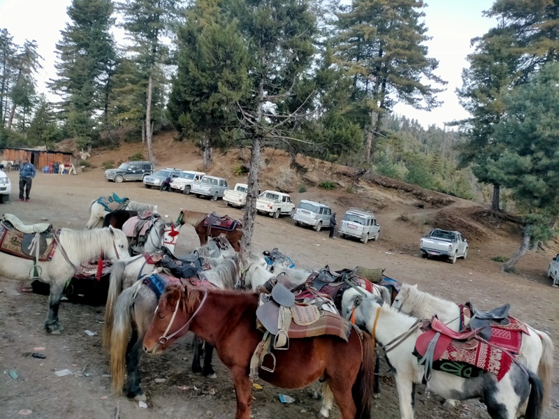 पर्यटकको पर्खाइमा मुगुका घोडा व्यवसायी 