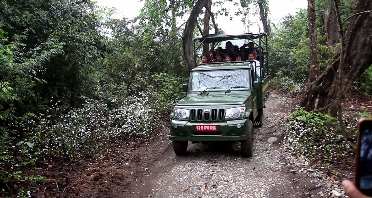 वन्यजन्तु अवलोकनको नयाँ गन्तव्य बन्दै पिप्रहर