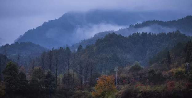 खरायो सम्झेर गोली हान्दा मानिसको मृत्यु