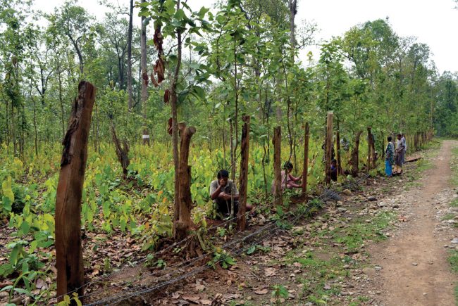 सामुदायिक वनलाई तहसनहस नगर्न आग्रह