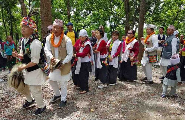 किरात बस्तीमा उभौली साकेला सुरु