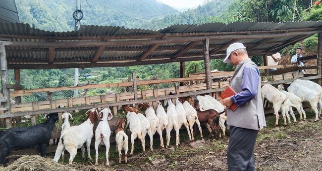 परम्परागत शैलीलाई व्यावसायिकतामा ढाल्दै किसान