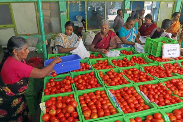 टमाटरको सुरक्षाका लागि बाउन्सर तैनाथ गरेको आरोपमा दुई जना पक्राउ