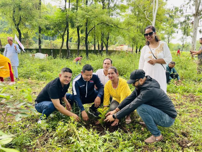 युवा संघले हेटौंडामा तीन सय विरूवा राेप्याे