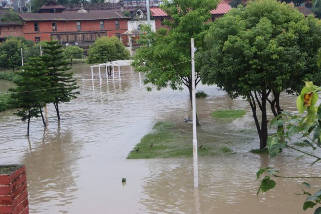 बाढीले धोबिखोला करिडोरको घर जलमग्न, पानी र हिलोले हिँड्नै सास्ती (फोटोफिचर)