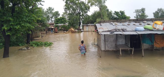 भजनी र टीकापुरमा डुबान, दीर्घकालीन समाधानको खोजी