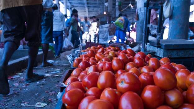 भारतलाई टमाटर दिन नेपाल तयार, भारतीय बजारमा सहज पहुँचको माग