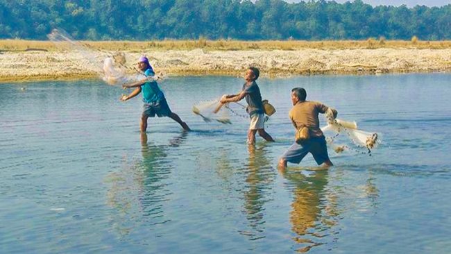 एक सय ९२ जनालाई राप्ती र नारायणी नदीमा माछा मार्न अनुमति