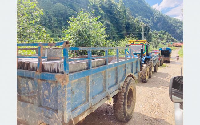 टायल र मार्वलको विकल्प ताराखोलाको ढुंगा, नेपालका मुख्य सहरमा माग बढ्दो