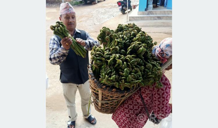 बागलुङेको भान्सामा म्याग्दीको निउरो