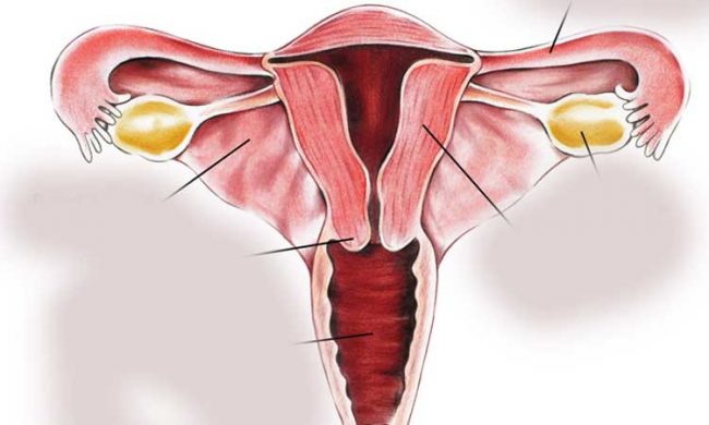 पाठेघरको मुखको क्यान्सरविरुद्धको खोप दिइँदै