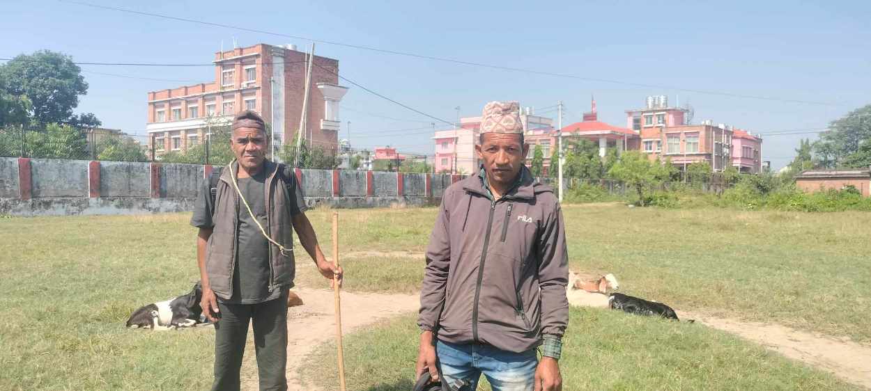 खसीबोका बिक्री भएनन्