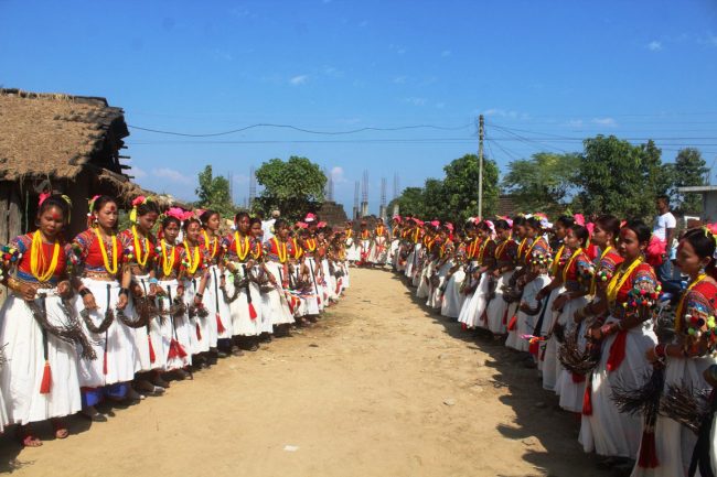 सखिया नृत्य देखाउँदै थारु महिला