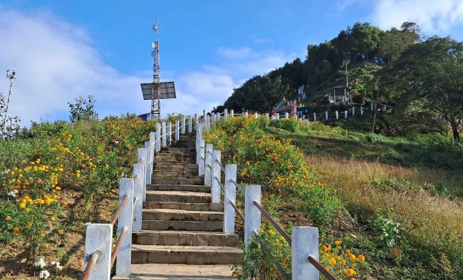 मझुवागढीलाई ‘फूलैफूलको पहाड’ बनाउने अभियान