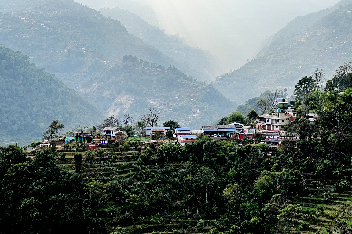 बसाइँसराइले रित्तिदै गाउँः बढ्यो बाँदर आतंक