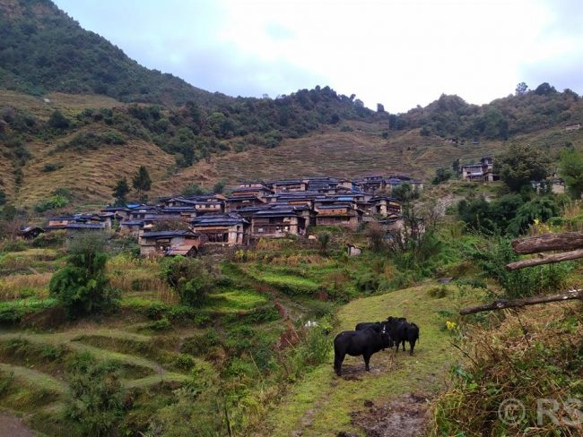 गाउँमा सडक पुग्यो, सम्पदा मासियो