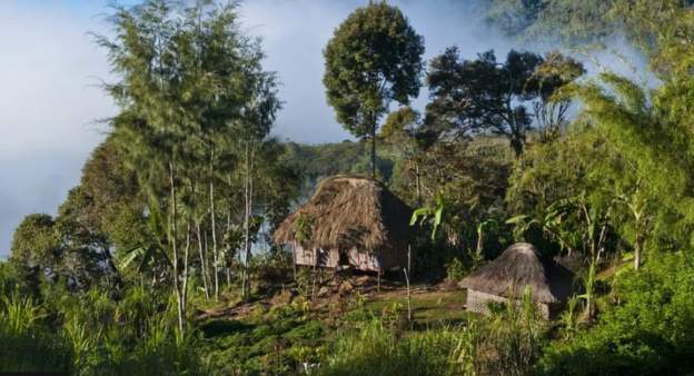 पपुवा न्युगिनीमा ६० जनाभन्दा बढीको गोली हानी हत्या