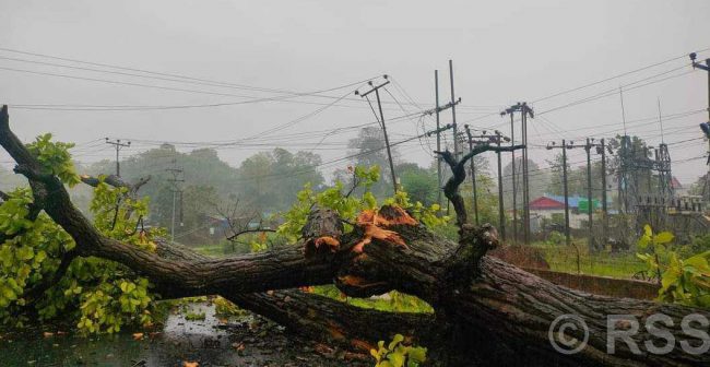 पश्चिम नवलपरासीमा हुरीबतासले विद्युत् अवरुद्ध