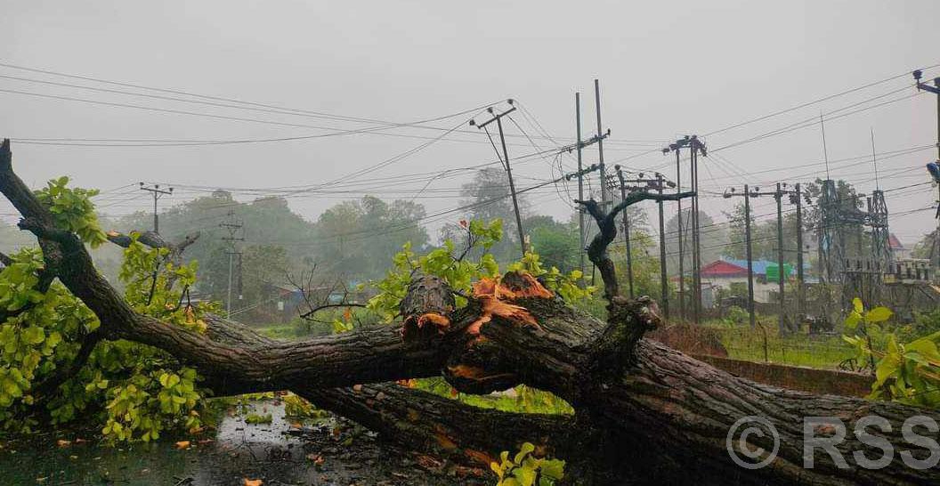 पश्चिम नवलपरासीमा हुरीबतासले विद्युत् अवरुद्ध