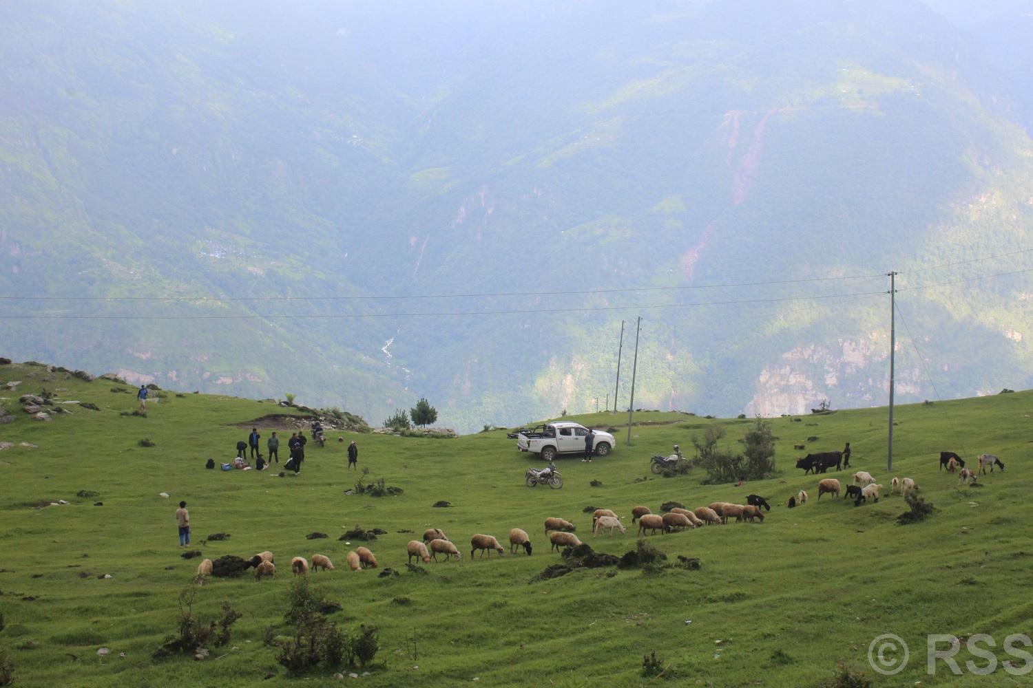 लोभलाग्दो रुइसेको सुन्दरताः पृष्ठभूमिमा देखिने हिमश्रृंखला, सिरसिरे बताससँगैको शीतलता