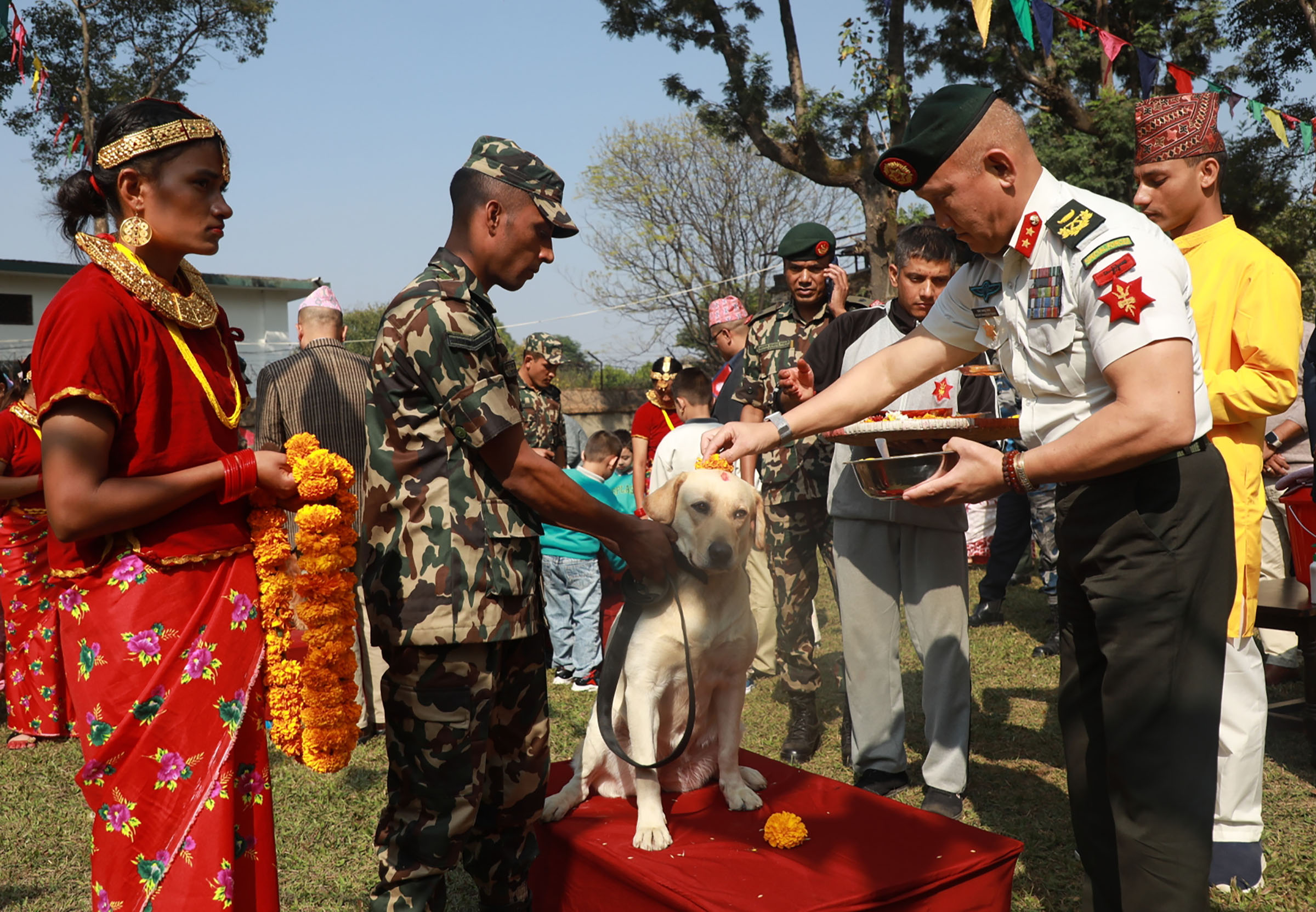 तस्वीरमा हेर्नुहोस् कुकुर तिहारको अवसरमा नेपाली सेनाका प्रशिक्षित कुकुरहरूको पूजा