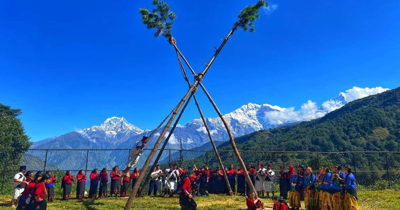 पिङ संरक्षणमा जुटे युवा