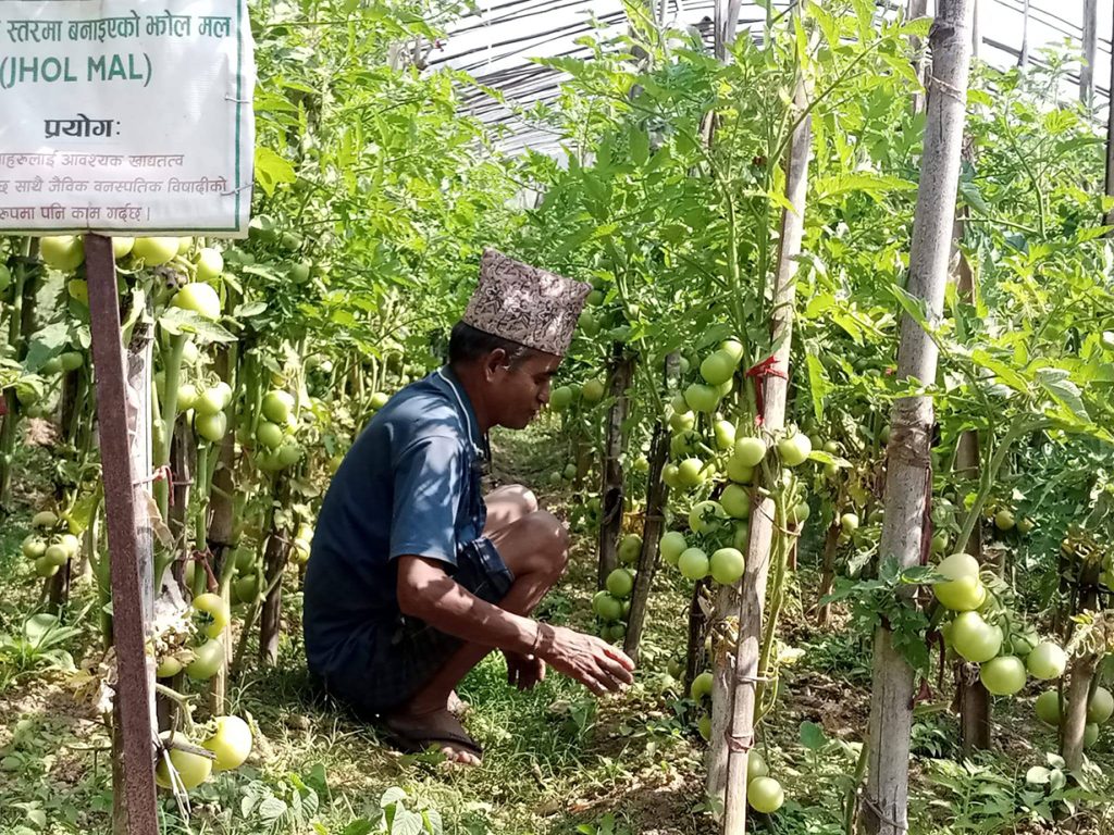 पहिले एफएम सुनाउथे, अहिले तरकारी खुवाउँछन्