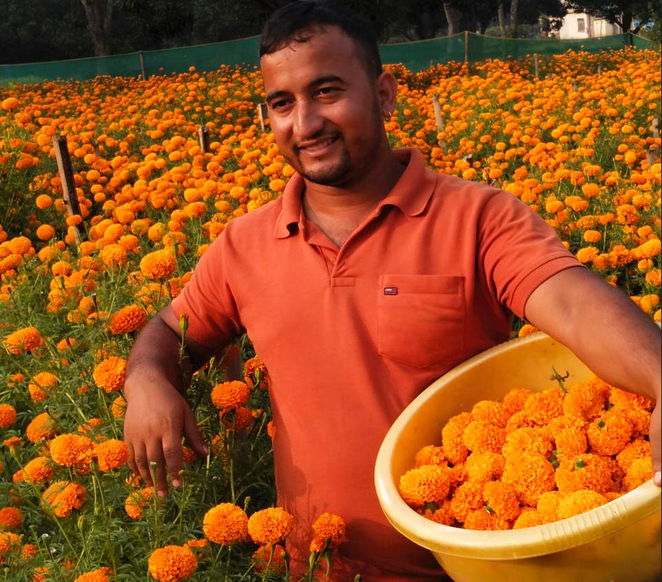 २४ वर्षीय युवाको लोभलाग्दो व्यावसायिक फूलखेती