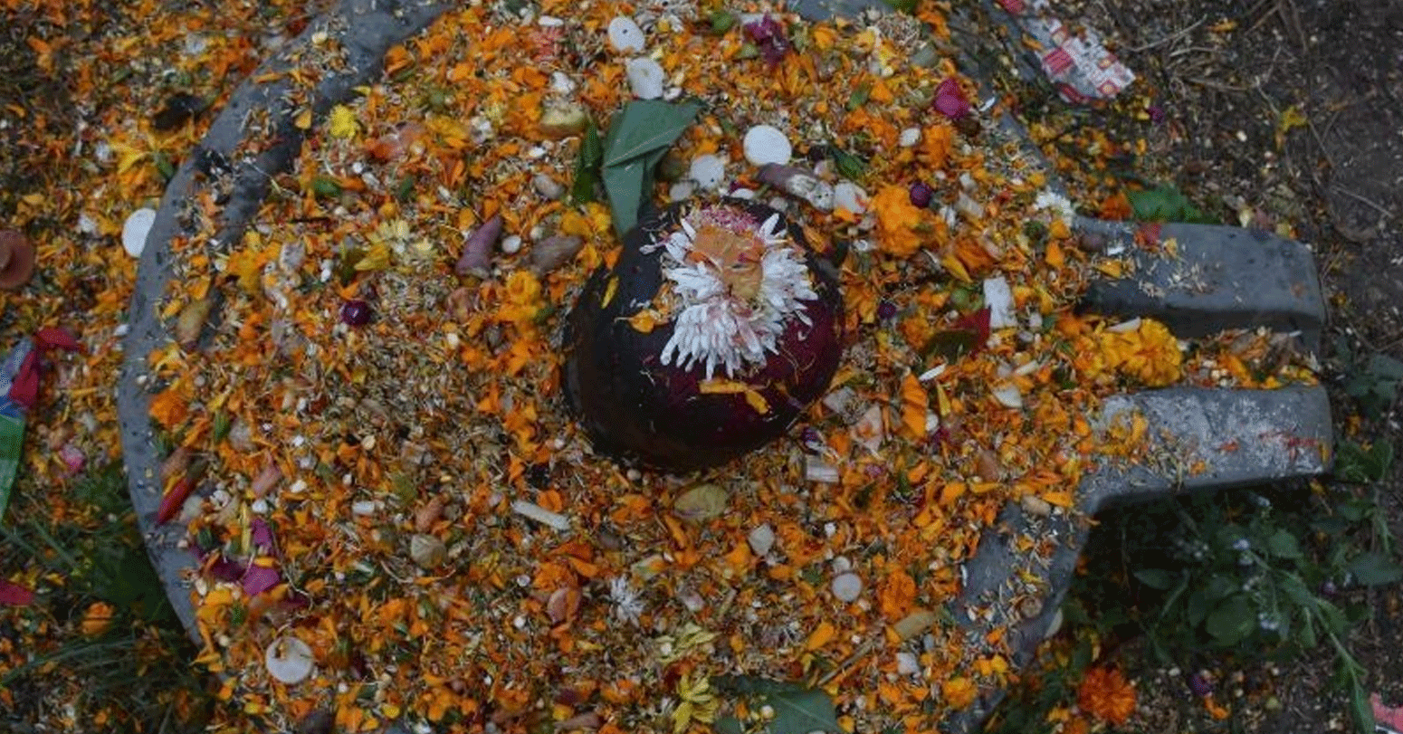 दिवंगत पितृका नाममा पशुपति क्षेत्रमा शतबीज छरियो