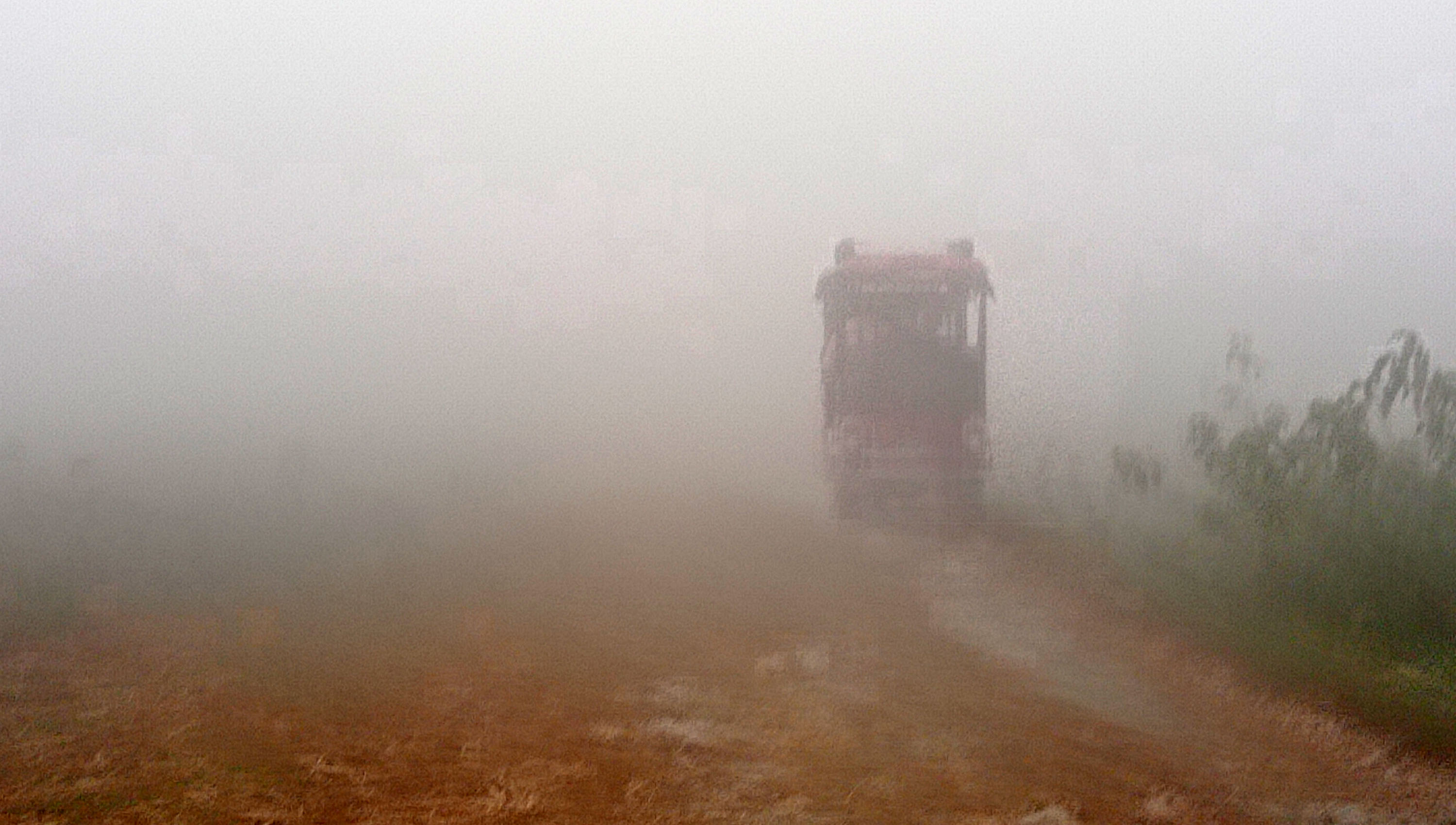 सुनसरीमा बाक्लो हुस्सुसहित शीतलहर