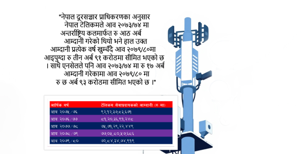 नीतिगत सुधार पर्खंदै टेलिकम कम्पनी